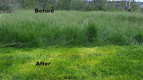 Fort McMurray lawn mowing/care services/ Mower repair service