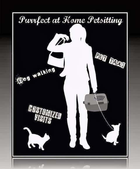 Purrfect at Home Pet Sitting Ltd.